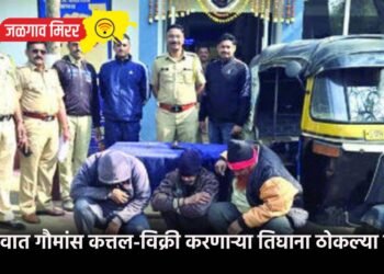 जळगावात गौमांस कत्तल-विक्री करणाऱ्या तिघाना ठोकल्या बेड्या !
