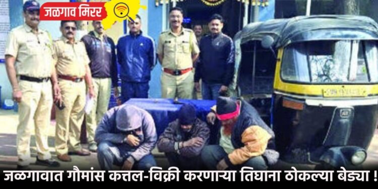 जळगावात गौमांस कत्तल-विक्री करणाऱ्या तिघाना ठोकल्या बेड्या !