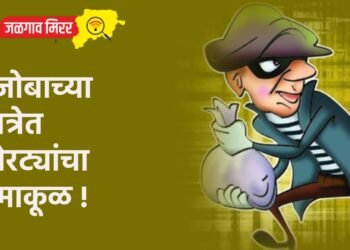 मुंजोबाच्या यात्रेत चोरट्यांचा धुमाकूळ !