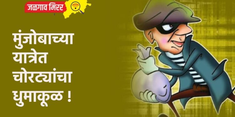 मुंजोबाच्या यात्रेत चोरट्यांचा धुमाकूळ !