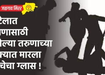 हॉटेलात जेवणासाठी गेलेल्या तरुणाच्या डोक्यात मारला काचेचा ग्लास !