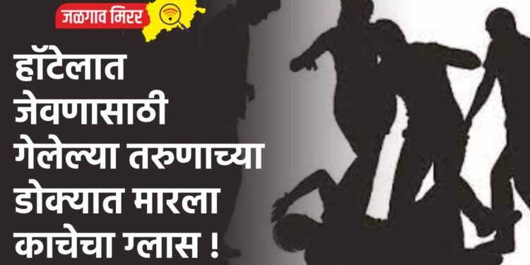 हॉटेलात जेवणासाठी गेलेल्या तरुणाच्या डोक्यात मारला काचेचा ग्लास !