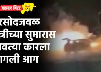 तरसोदजवळ रात्रीच्या सुमारास धावत्या कारला लागली आग