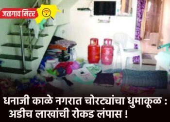 खळबळजनक : कॅफेतून मागविला ‘चॉकलेट शेक’ अन त्यात निघाले मृतावस्थेतील उंदीर !