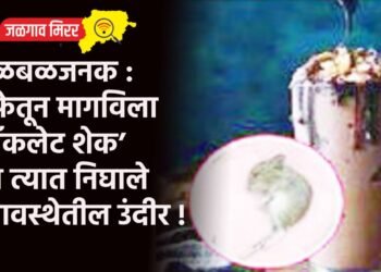 खळबळजनक : कॅफेतून मागविला ‘चॉकलेट शेक’ अन त्यात निघाले मृतावस्थेतील उंदीर !
