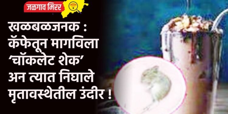 खळबळजनक : कॅफेतून मागविला ‘चॉकलेट शेक’ अन त्यात निघाले मृतावस्थेतील उंदीर !