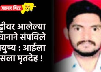 सुट्टीवर आलेल्या जवानाने संपविले आयुष्य : आईला दिसला मृतदेह !