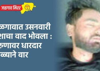 खुन्नस दिली वाद पेटला अन पाचोऱ्यात २० वर्षीय तरुणाचा खून !