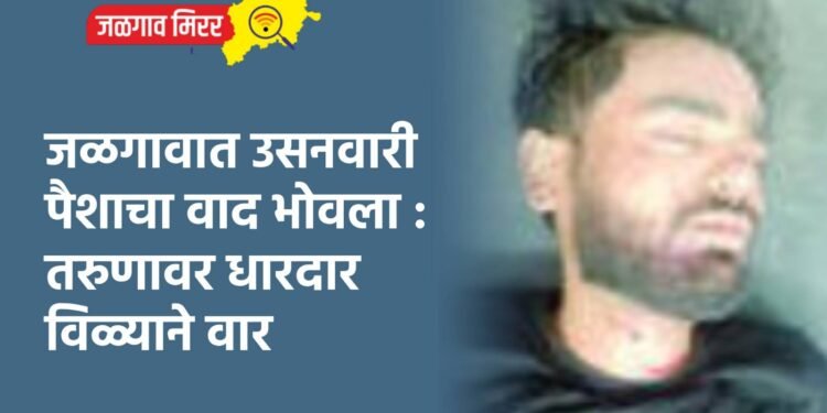 खुन्नस दिली वाद पेटला अन पाचोऱ्यात २० वर्षीय तरुणाचा खून !