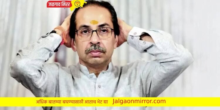 …मी आता धक्कापुरुष झालोय ; उद्धव ठाकरे यांची खदखद !