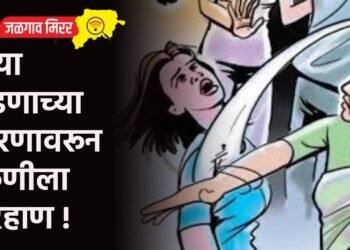 जुन्या भांडणाच्या कारणावरून तरुणीला मारहाण !