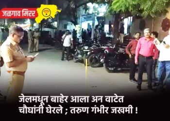 जुन्या भांडणाच्या कारणावरून तरुणीला मारहाण !