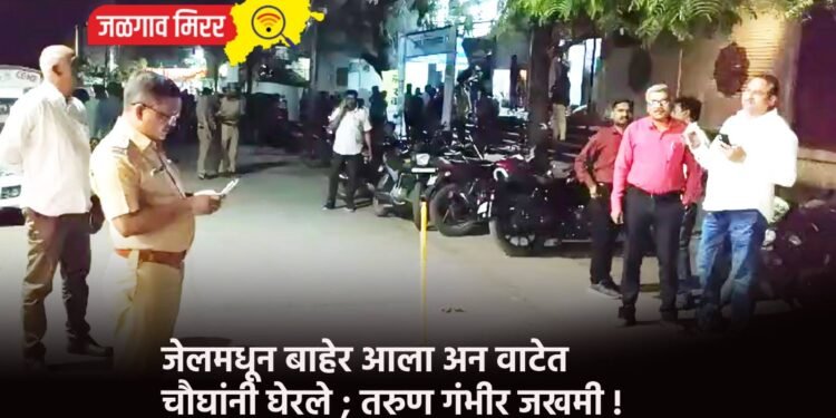 जुन्या भांडणाच्या कारणावरून तरुणीला मारहाण !