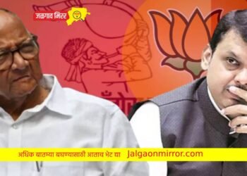 शरद पवार झाले सक्रिय : फडणवीस सरकारच्या १०० दिवसावर….