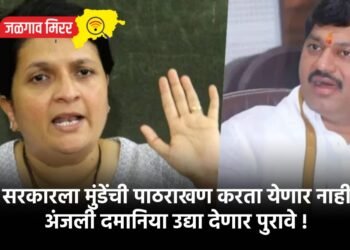 सरकारला मुंडेंची पाठराखण करता येणार नाही ; अंजली दमानिया उद्या देणार पुरावे !