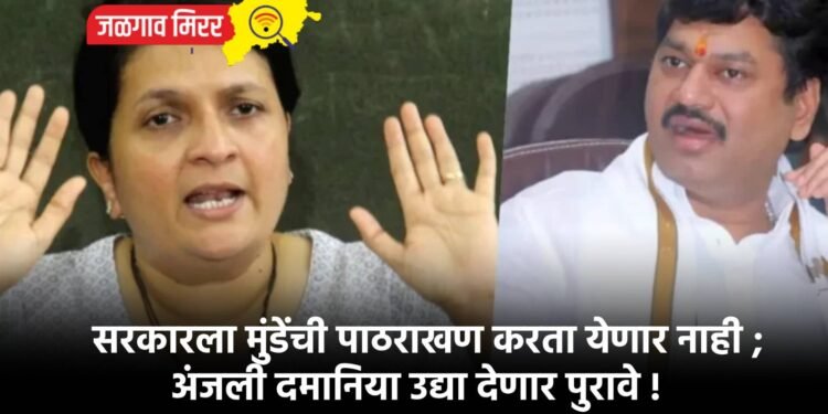 सरकारला मुंडेंची पाठराखण करता येणार नाही ; अंजली दमानिया उद्या देणार पुरावे !