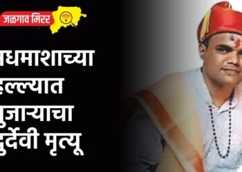 मधमाशाच्या हल्ल्यात पुजाऱ्याचा दुर्देवी मृत्यू