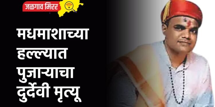 मधमाशाच्या हल्ल्यात पुजाऱ्याचा दुर्देवी मृत्यू