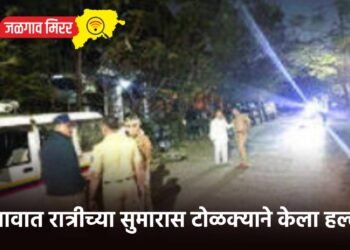 जळगावात रात्रीच्या सुमारास टोळक्याने केला हल्ला !