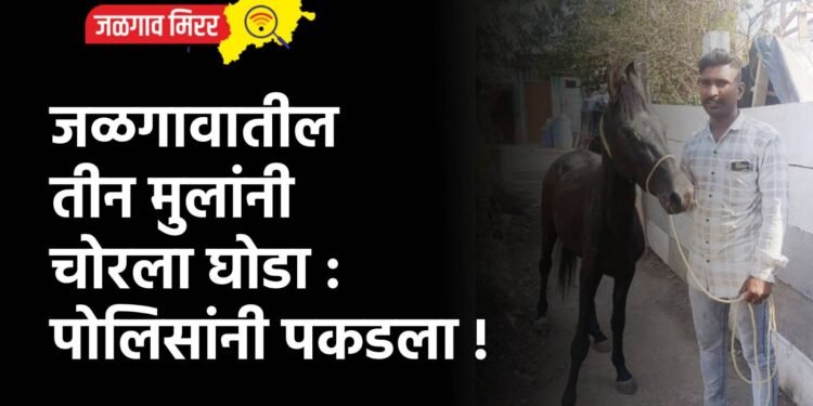 जळगावातील तीन मुलांनी चोरला घोडा : पोलिसांनी पकडला !