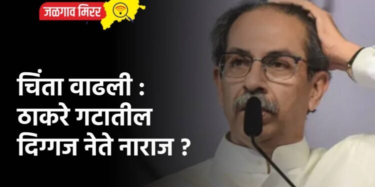 चिंता वाढली : ठाकरे गटातील दिग्गज नेते नाराज ?