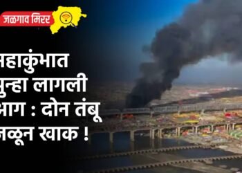 महाकुंभात पुन्हा लागली आग : दोन तंबू जळून खाक !