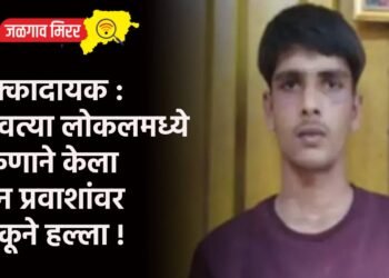 धक्कादायक : धावत्या लोकलमध्ये तरुणाने केला तीन प्रवाशांवर चाकूने हल्ला !