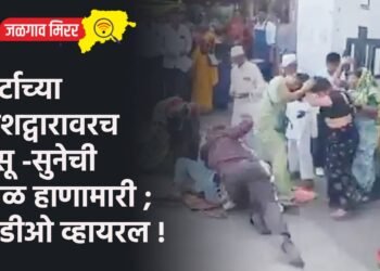 कोर्टाच्या प्रवेशद्वारावरच सासू -सुनेची तुंबळ हाणामारी ; व्हिडीओ व्हायरल !