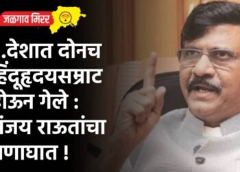 मुख्यमंत्र्यांसह उपमुख्यमंत्री घेतला उद्धव ठाकरेंचा समाचार !