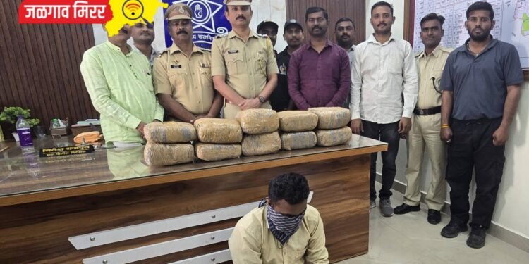 पोलिसांनी वेशांतर करून केले १९ किलोचा गांजा जप्त : एकाला अटक