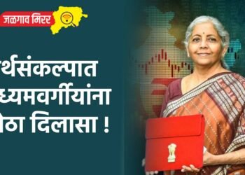 अर्थसंकल्पात मध्यमवर्गीयांना मोठा दिलासा !