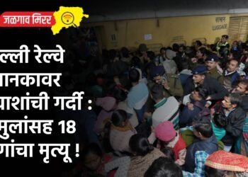 दिल्ली रेल्वे स्थानकावर प्रवाशांची गर्दी : ३ मुलांसह १८ जणांचा मृत्यू !