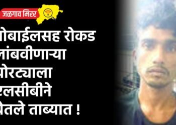 मोबाईलसह रोकड लांबवीणाऱ्या चोरट्याला एलसीबीने घेतले ताब्यात !