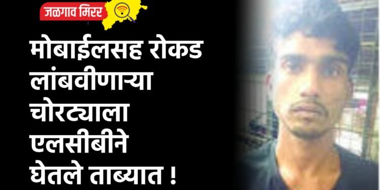मोबाईलसह रोकड लांबवीणाऱ्या चोरट्याला एलसीबीने घेतले ताब्यात !