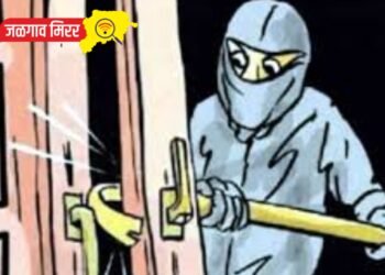 डोळ्यांच्या शस्त्रक्रियेसाठी ठेवलेल्या पैश्यावर चोरट्यांचा डल्ला !