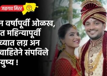 दोन वर्षापूर्वी ओळख, सात महिन्यापूर्वी गोव्यात लग्न अन विवाहितेने संपविले आयुष्य !