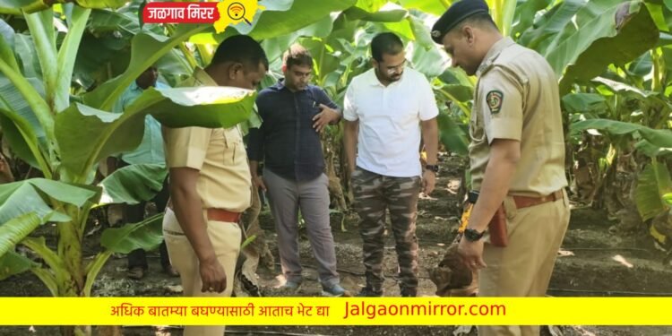 यावल तालुक्यात खळबळ : बिबट्याच्या हल्ल्यात ७ वर्षीय मुलाचा मृत्यू !