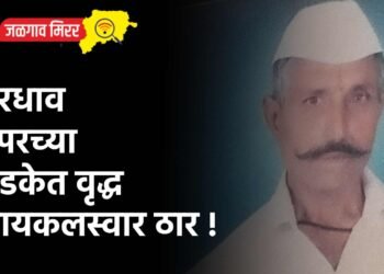 भरधाव डंपरच्या धडकेत वृद्ध सायकलस्वार ठार !