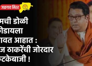 तुमची डोळी फोडायला लावत आहात : राज ठाकरेंची जोरदार फटकेबाजी !