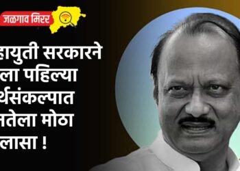 महायुती सरकारने दिला पहिल्या अर्थसंकल्पात जनतेला मोठा दिलासा !