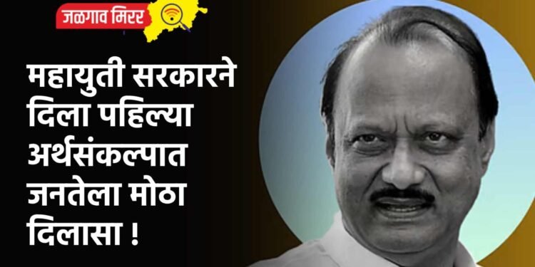 महायुती सरकारने दिला पहिल्या अर्थसंकल्पात जनतेला मोठा दिलासा !