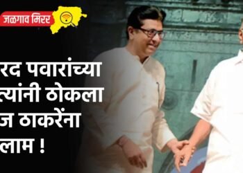 शरद पवारांच्या नेत्यांनी ठोकला राज ठाकरेंना सलाम !