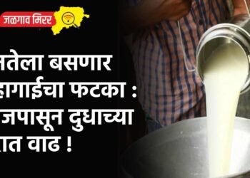जनतेला बसणार महागाईचा फटका : आजपासून दुधाच्या दरात वाढ !