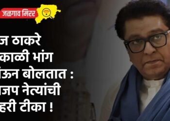 राज ठाकरे सकाळी भांग पिऊन बोलतात : भाजप नेत्यांची जहरी टीका !