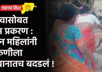 भावासोबत प्रेम प्रकरण : तीन महिलांनी तरुणीला उद्यानातच बदडलं !