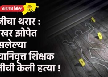 पत्नीचा थरार : साखर झोपेत असलेल्या सेवानिवृत्त शिक्षक पतीची केली हत्या !