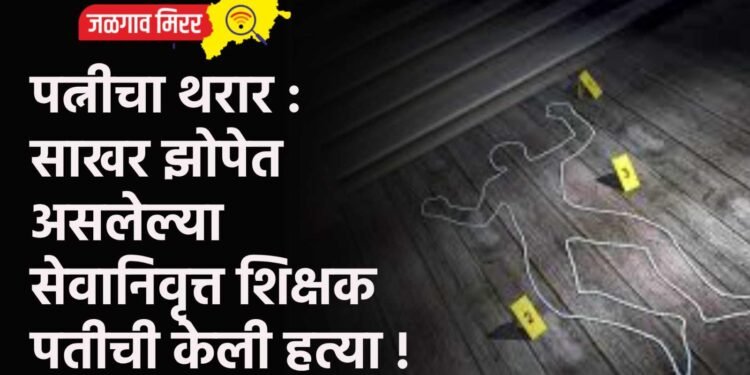 पत्नीचा थरार : साखर झोपेत असलेल्या सेवानिवृत्त शिक्षक पतीची केली हत्या !