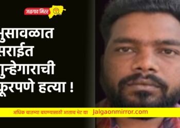 भुसावळात सराईत गुन्हेगाराची क्रूरपणे हत्या !
