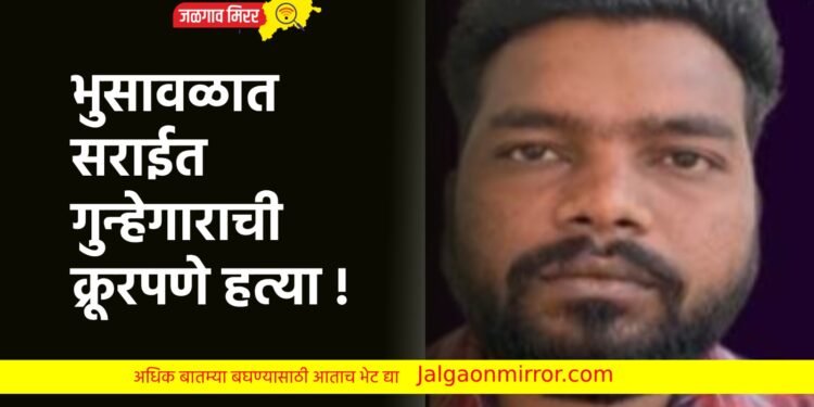भुसावळात सराईत गुन्हेगाराची क्रूरपणे हत्या !