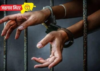 महामार्गावर ट्रक चालकाला लुटले : पोलिसांनी चौघांना ठोकल्या बेड्या !